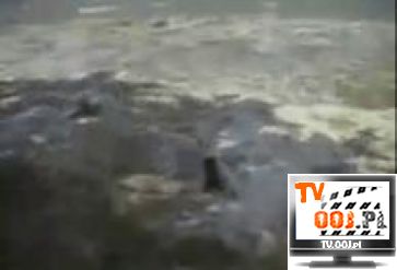 Tsunami